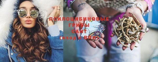 гашик Покров