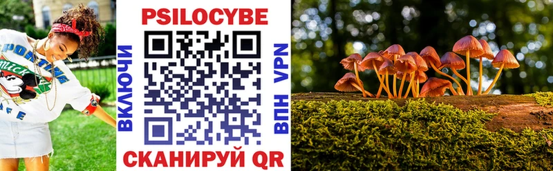 купить наркоту  Ершов  Галлюциногенные грибы мухоморы 