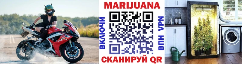 Канабис MAZAR Ершов